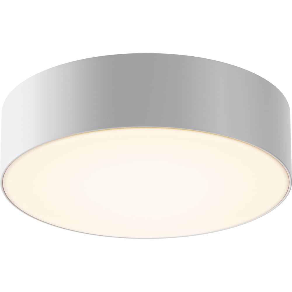 Изображение товара Потолочный светильник MAYTONI outdoor zon ip led 30w белый алюминий пластик