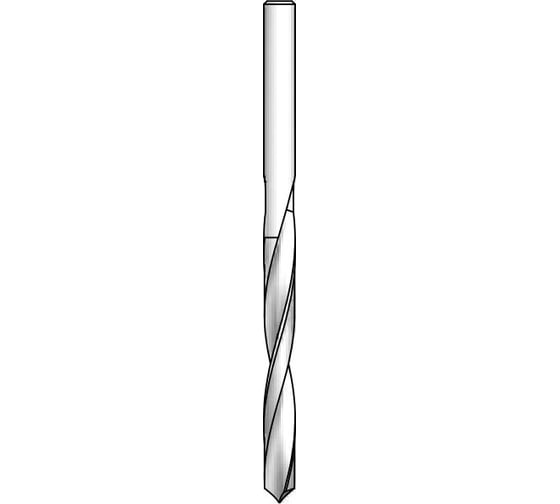 Изображение товара Сверло шлифованное (3 мм, 61 мм, HSS) для древесины WPW DRS0300