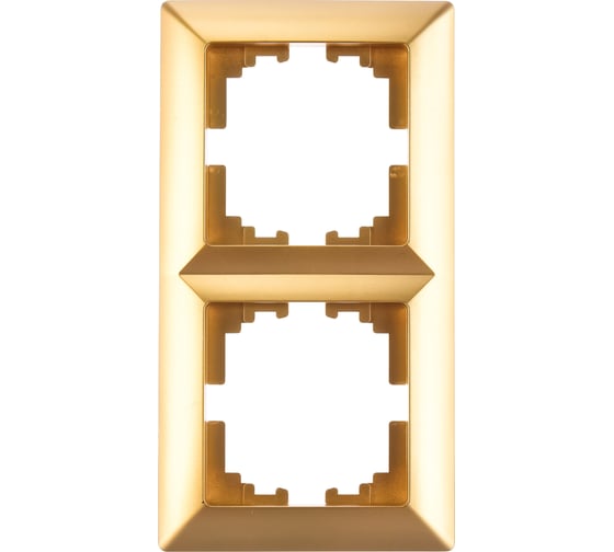 Изображение товара Рамка Intro 450204 на 2 поста, СУ, Solo, шампань Б0043413