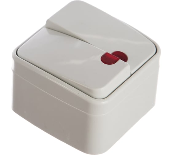 Изображение товара Двойной выключатель с подсветкой, Intro 310501 10А, 250В, IP20, ОУ, Polo Б0036096