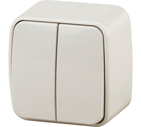 Изображение товара Двойной выключатель Intro 310402 10А, 250В, IP20, ОУ, Polo, слоновая кость Б0036121