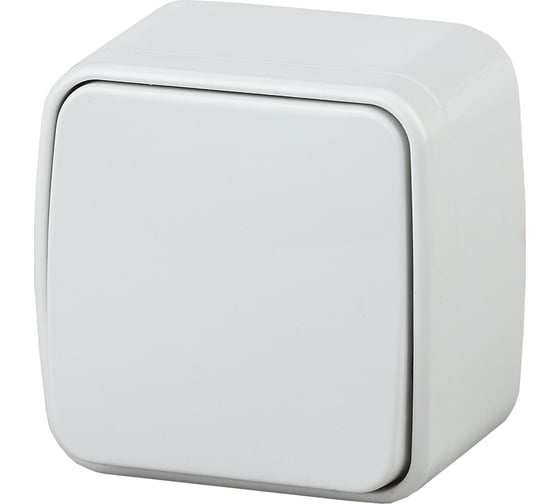 Изображение товара Выключатель Intro 310101 10А, 250В, IP20, ОУ, Polo, белый Б0036092