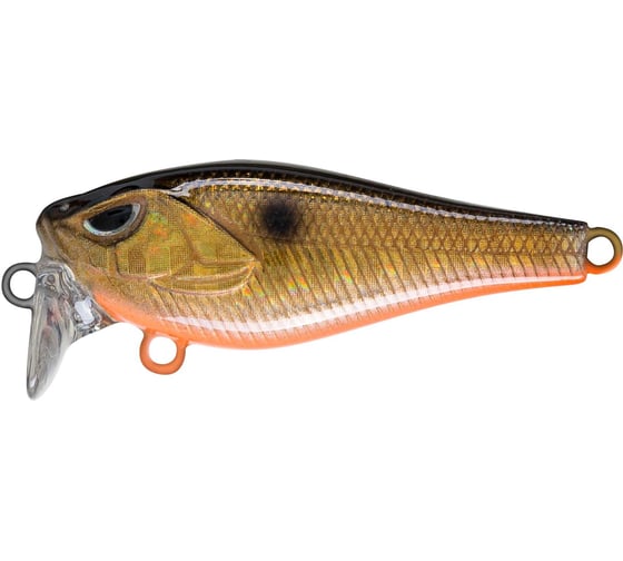 Изображение товара Воблер Strike Pro Крэнк Funky-X Crank, Medium Trank 36F, цвет: 613-713 Black Back Smoked OB EG-23 EG-239#613-713