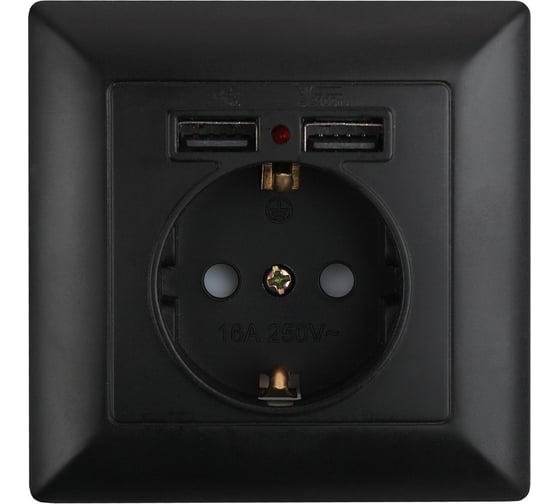 Изображение товара Розетка Intro 441005 PE Schuko со шторками, 16А, 250В 2хUSB, СУ, Solo, Б0043407