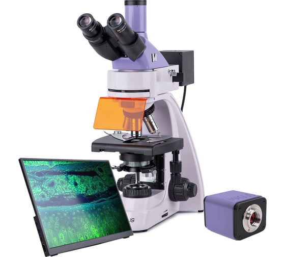 Изображение товара Люминесцентный цифровой микроскоп MAGUS lum d400l lcd 83019
