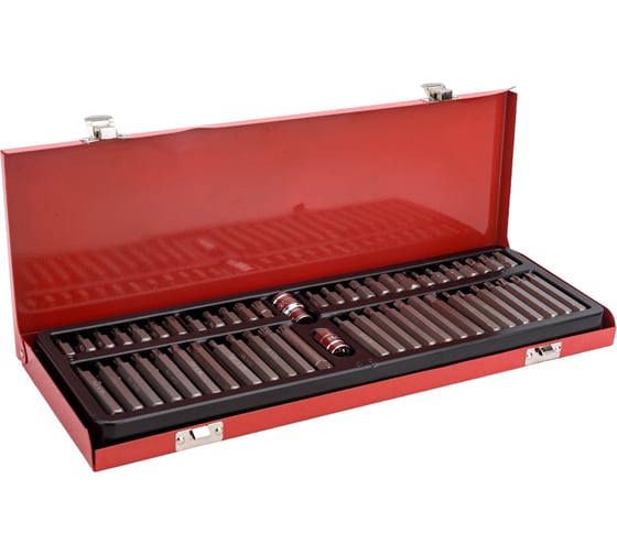 Изображение товара Набор бит 10 мм в металлическом кейсе 54 шт. AV Steel AV-011054