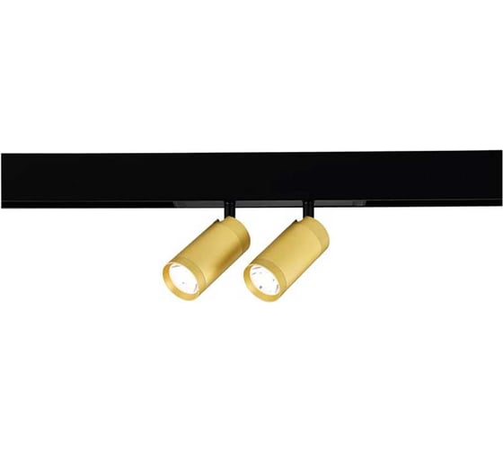 Изображение товара Трековый светильник ST luce smart, золотистый, led, 2x10w, 2700k-6000k, 1440lm, d50xh41, 220v, ST660.286.20
