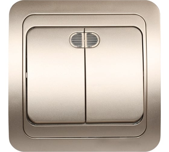 Изображение товара Выключатель Smartbuy 2-клавишный с индикатором 10А шампань Марс SBE-02c-10-SW2-1-c