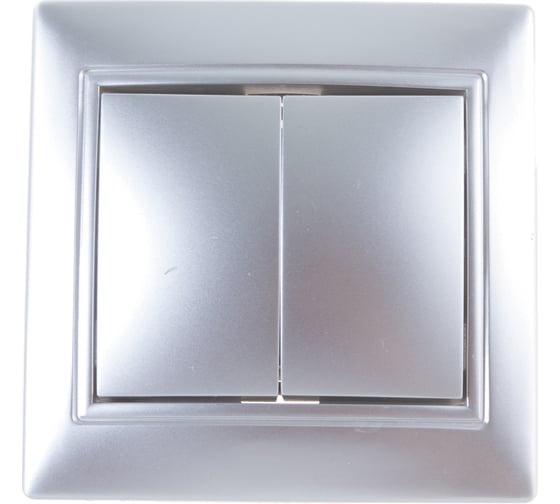 Изображение товара Выключатель Smartbuy 2-клавишный 10А серебро, Венера SBE-01s-10-SW2-0-c