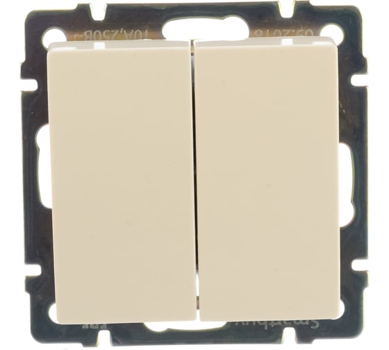 Изображение товара Выключатель Smartbuy 2-клавишный 10А бежевый Нептун SBE-05i-10-SW2-0