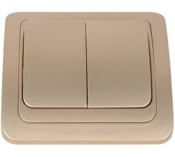 Изображение товара Выключатель Smartbuy 2-клавишный 10А шампань Марс SBE-02c-10-SW2-0-c