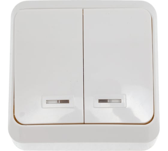 Изображение товара Выключатель Smartbuy 2-клавишный с индикатором 10А белый Юпитер SBE-03w-10-SW2-1