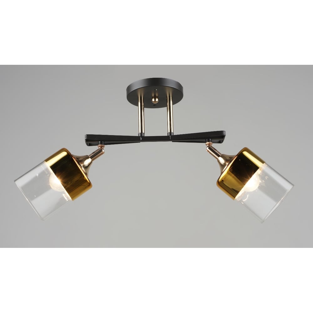 Изображение товара Потолочная люстра Мелодия Света sl4350-2 cf+gd модерн черный стекло металл