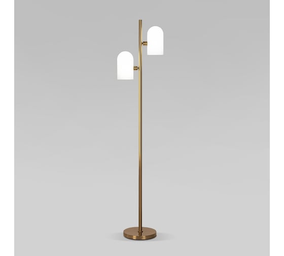 Изображение товара Напольный светильник Eurosvet со стеклянным плафоном 01164/2 латунь a065659