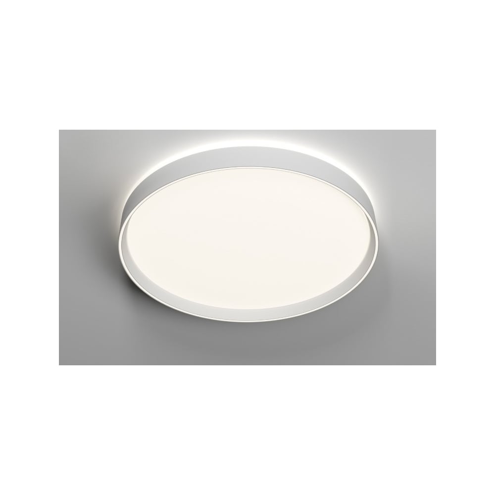 Изображение товара Накладной светильник DENKIRS DK6511-WH с регулировкой яркости IP20