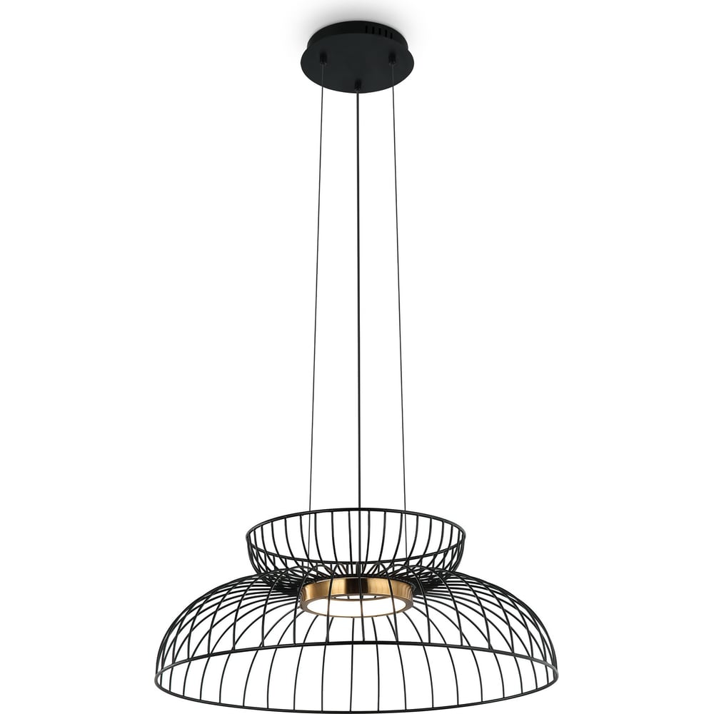 Изображение товара Подвесной светильник Freya citrus 8w черный стиль модерн с металлом