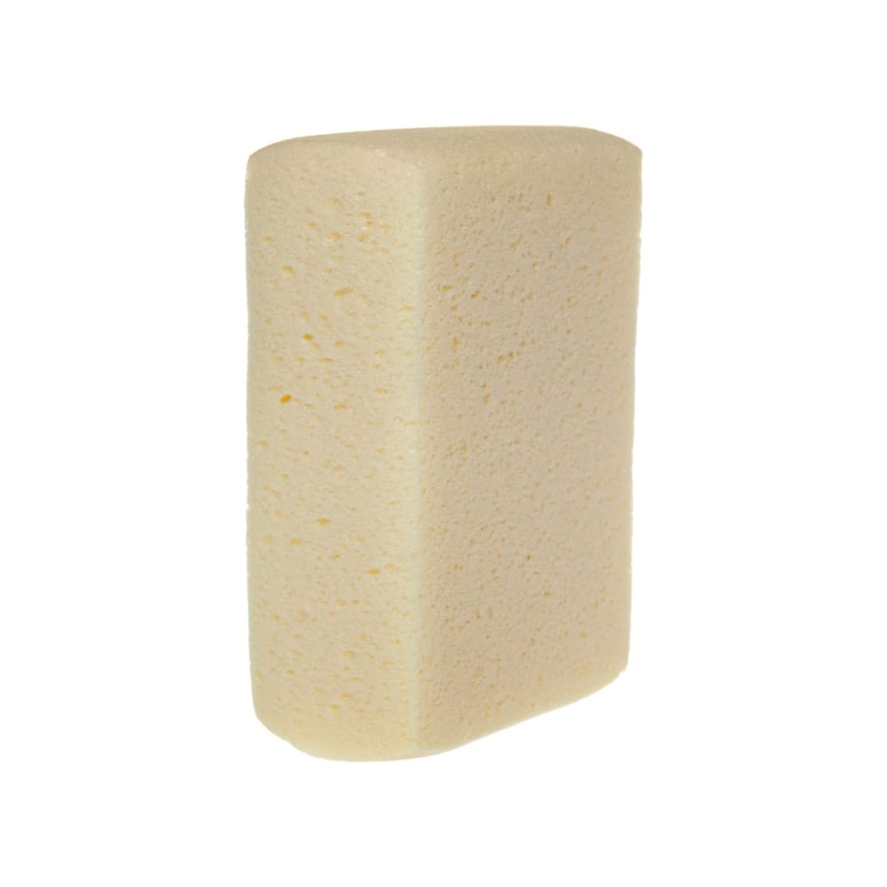 Изображение товара Профессиональная губка BIHUI CFHS165 для чистки домашней и профессиональной уборки