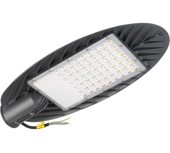 Изображение товара Светодиодный светильник Jazzway консольный PSL 03 GR 50Вт 4000К IP65 AC190-260В ДКУ уличный 5022676