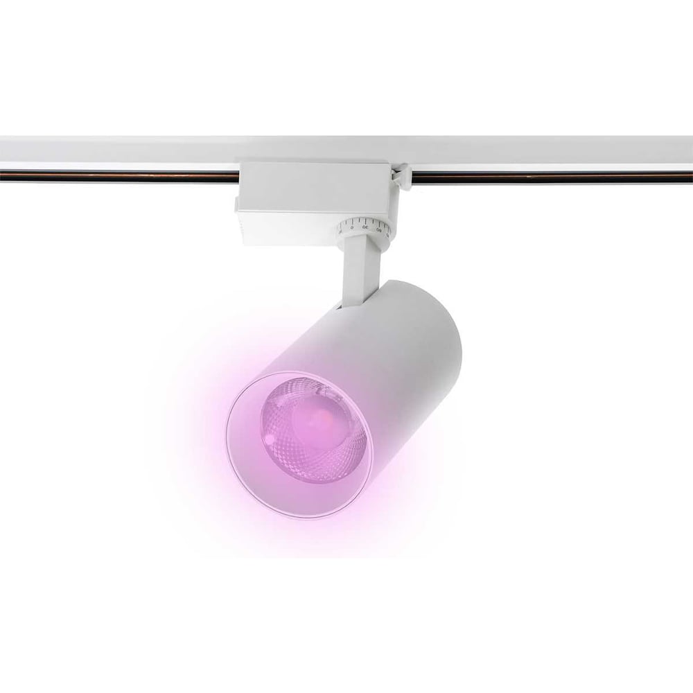 Изображение товара Светодиодный трековый светильник Jazzway PTR 0730 Food Meat 30Вт IP40 белый