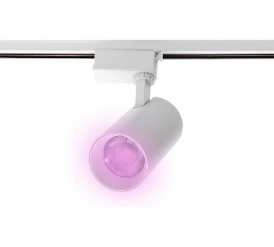 Изображение товара Светодиодный светильник Jazzway трековый PTR 0730 Food Meat 30Вт IP40 24град. WH белый 5026629