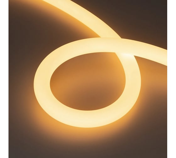 Изображение товара Герметичная лента Arlight MOONLIGHT-SIDE-A336-D25mm 24V Warm2700 360deg 5м 038749