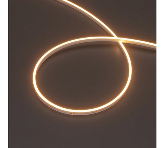 Изображение товара Герметичная лента Arlight MOONLIGHT-SIDE-M196-03x06mm 24V Warm2300 Arlig 5м 039568