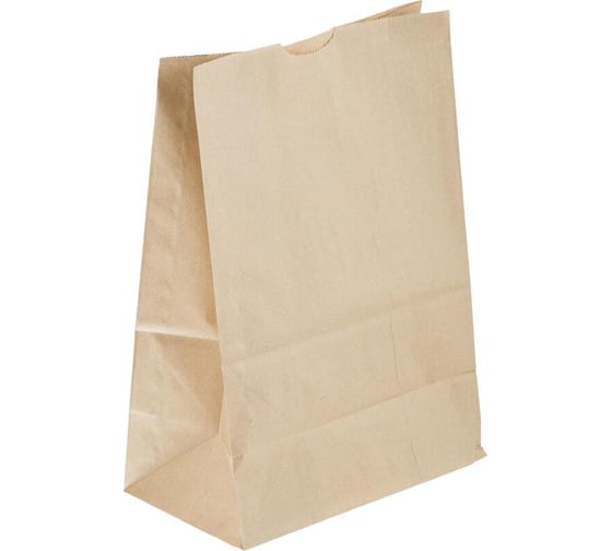 Изображение товара Бумажный пакет ООО Комус 216x121x305 мм, 50 гр/м2, крафт, с прямоугольным дном, 1000 шт. 453211