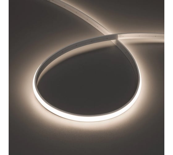 Изображение товара Герметичная лента Arlight MOONLIGHT-TOP-M280-10x5mm 24V Day4200 , Вывод 5м 041521