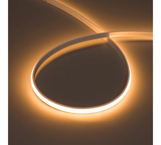 Изображение товара Герметичная лента Arlight MOONLIGHT-TOP-M280-10x5mm 24V Warm2200 , Выво 5м 041524