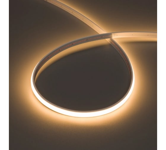 Изображение товара Герметичная лента Arlight MOONLIGHT-TOP-X544-10x5mm 24V Warm2700 , Выво 5м 041527