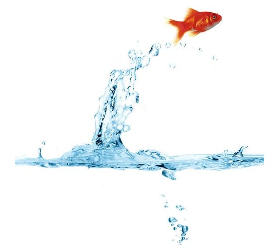 Изображение товара Тканевая шторка для ванны Melodia della vita MZ-45 Золотая рыбка 180х200 см 20815