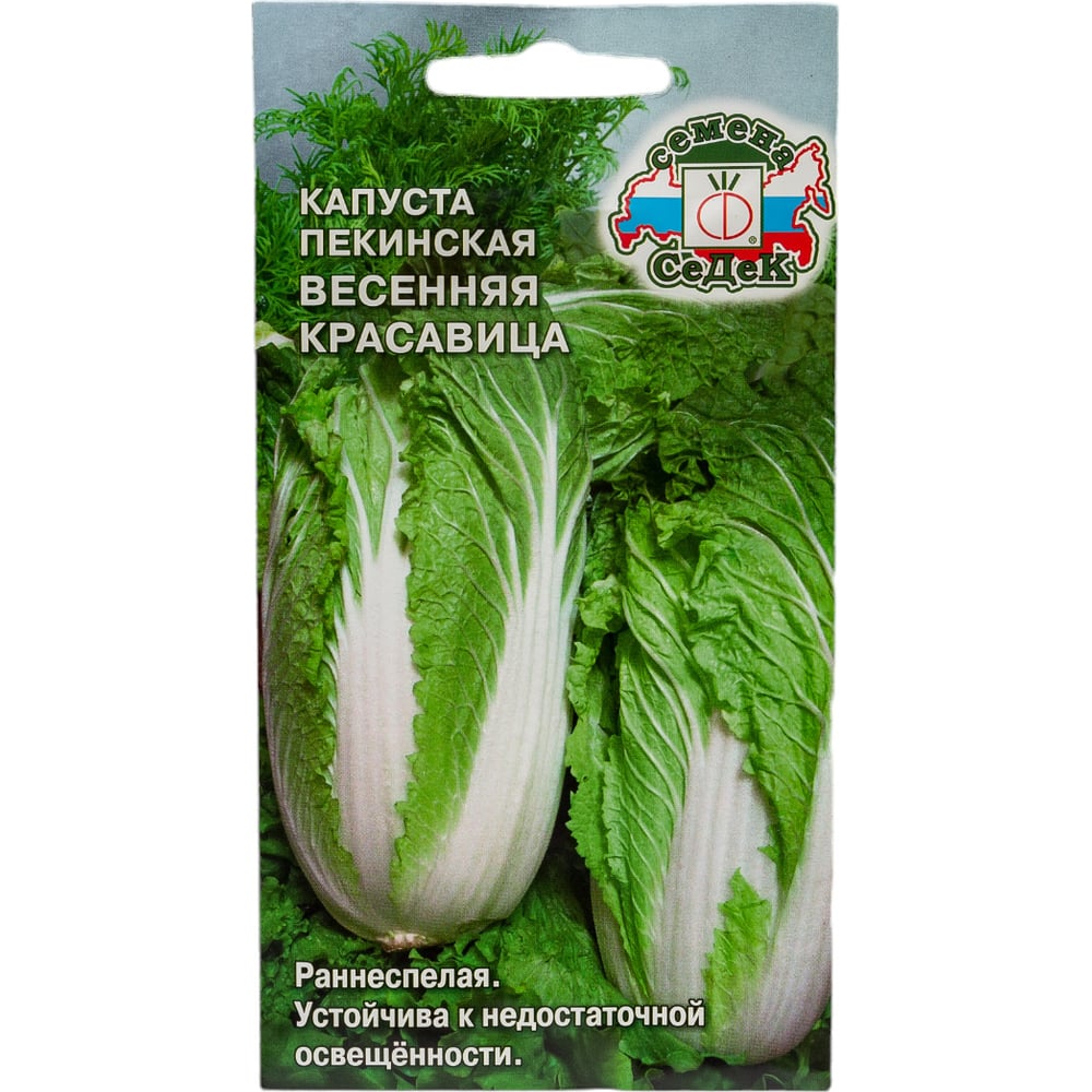 Семена СеДек 14378