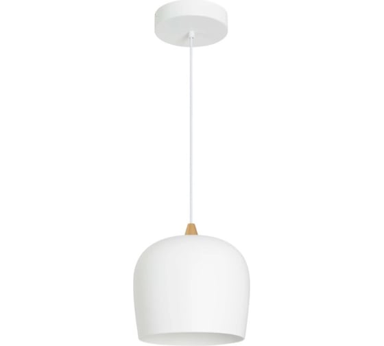 Изображение товара Светильник Arlight SP-PEONY-HANG-R250-15W Warm3000 1шт 039548