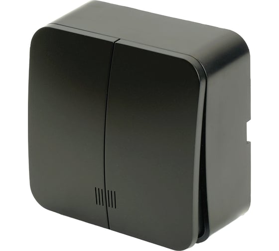 Изображение товара 2-клавишный выключатель STEKKER открытой установки с индикатором, 250в, 10а, ip20, серия софия, черный матовый, msw10-21-05 49477