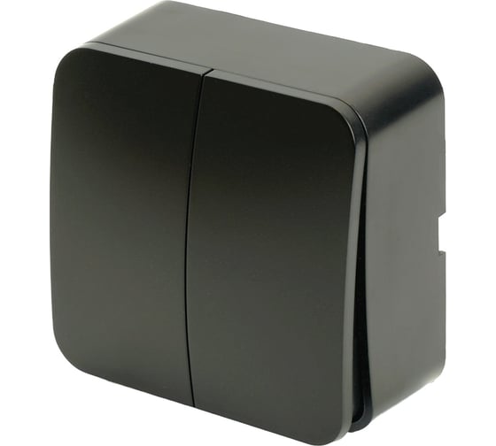 Изображение товара 2-клавишный выключатель STEKKER открытой установки, 250в, 10а, ip20, серия софия, черный матовый, msw10-20-05 49475