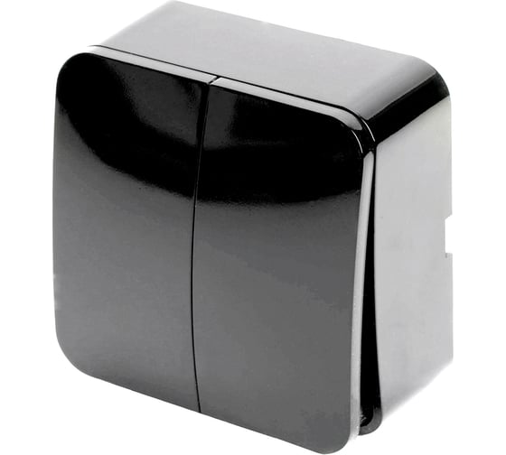 Изображение товара 2-клавишный выключатель STEKKER открытой установки, 250в, 10а, ip20, серия софия, черный, msw10-20-02 49293