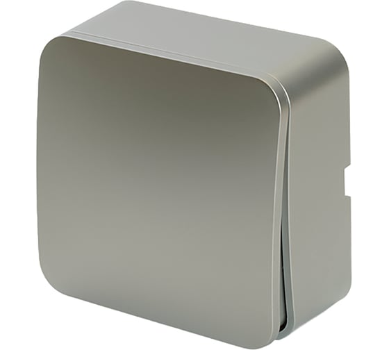 Изображение товара 1-клавишный выключатель STEKKER София открытой установки, 250В, 10А, IP0, серебро, MSW10-10-03 49295