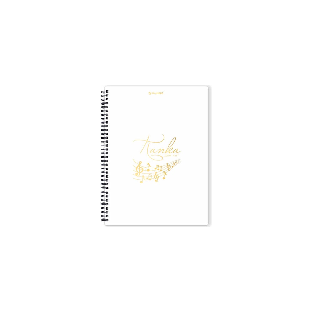 Изображение товара Папка-тетрадь для нот BRAUBERG А4, 20 вкладышей, белая