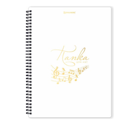 Изображение товара Папка-тетрадь для нот BRAUBERG А4, 20 вкладышей на 40 страниц, на гребне, пластик, белая 404644