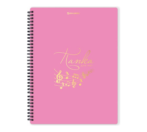 Изображение товара Папка-тетрадь для нот BRAUBERG А4, 20 вкладышей на 40 страниц, на гребне, пластик, розовая 404642