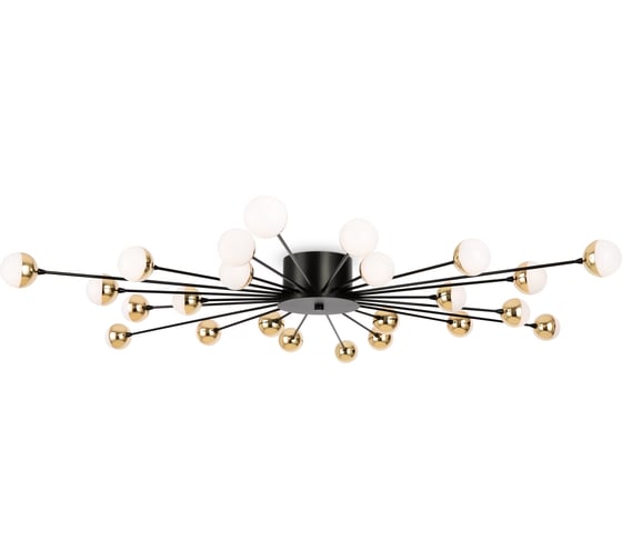 Изображение товара Потолочный светильник Freya celebrity 24хg4x3w металл черный FR5242CL-24B