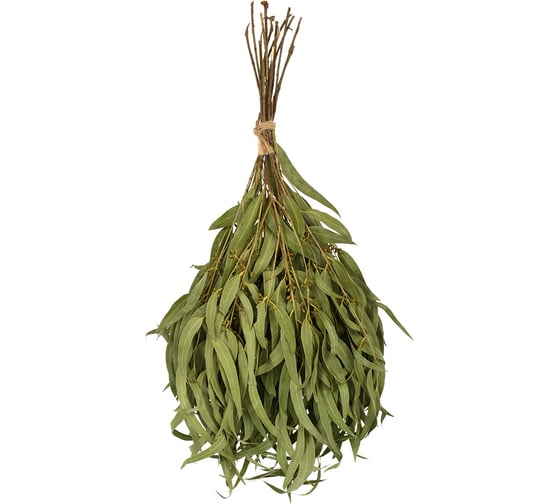 Изображение товара Эвкалиптовый веник Hot Pot 34152