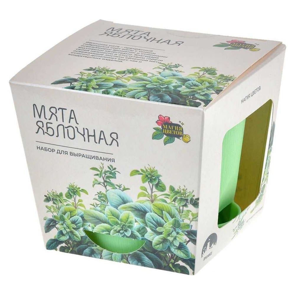 Набор для выращивания растений Магия Цветов mf-005