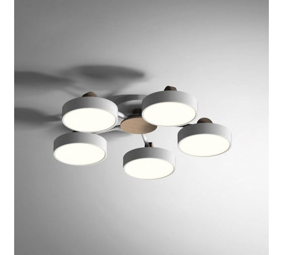 Изображение товара Потолочная люстра IMPERIUMLOFT MOVE 5 Gray 178249-26