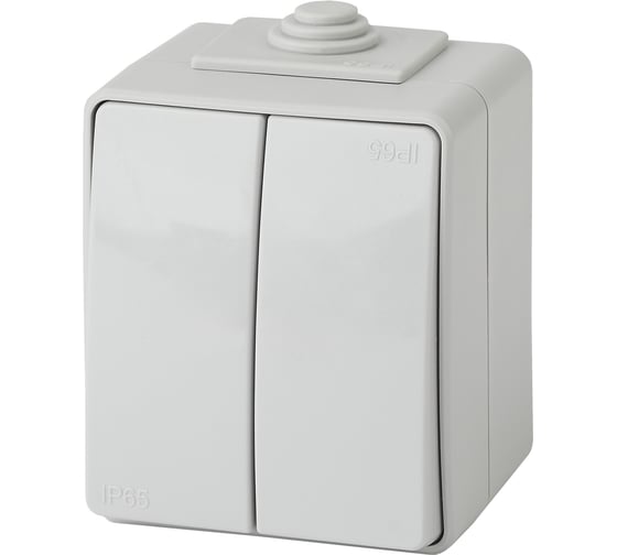 Изображение товара Двойной выключатель ЭРА 11160403 IP65, 10АХ250В, ОУ, Эксперт, серый Б0035976