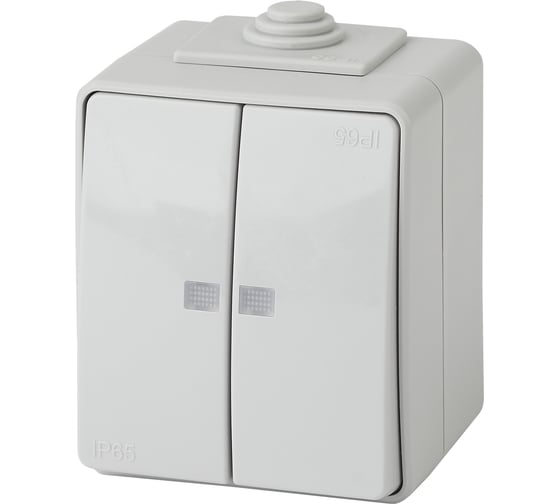 Изображение товара Двойной выключатель ЭРА 11160503 с подсветкой IP65, 10АХ250В, ОУ, Б0035977