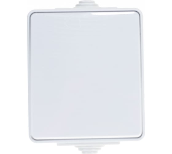 Изображение товара Выключатель ЭРА Эксперт 11160103 IP65, 10АХ250В, ОУ, серый Б0035972