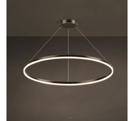 Изображение товара Кольцевая люстра IMPERIUMLOFT CRUISE ONE LUX D40 204620-23