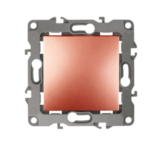 Изображение товара Выключатель ЭРА 12110114 10АХ250В, IP20, 2, медь Б0019278