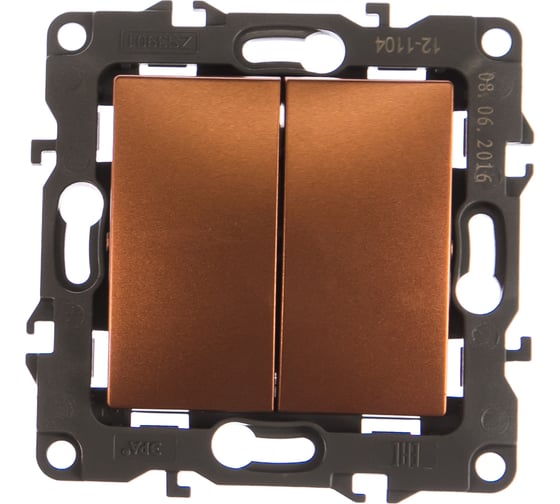 Изображение товара Двойной выключатель ЭРА 12110414 10АХ250В, IP20, медь Б0019289